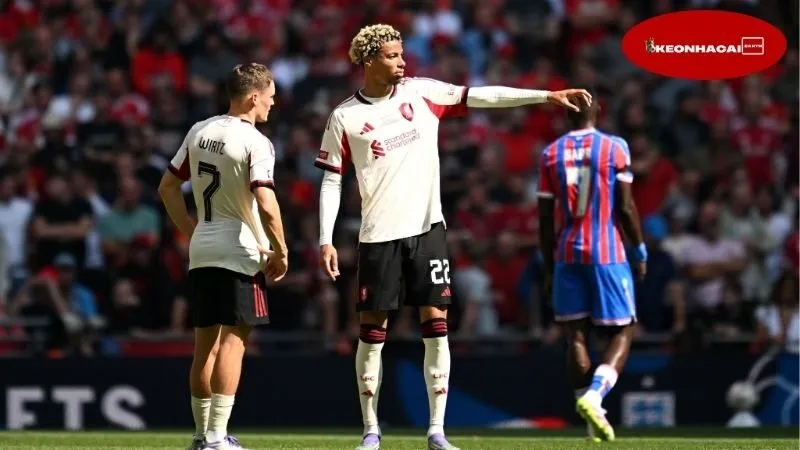 Thông tin về lực lượng của PSG và Tottenham