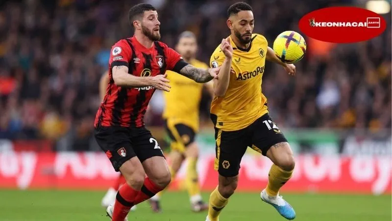 Thông tin lực lượng Bournemouth vs Wolves mới nhất